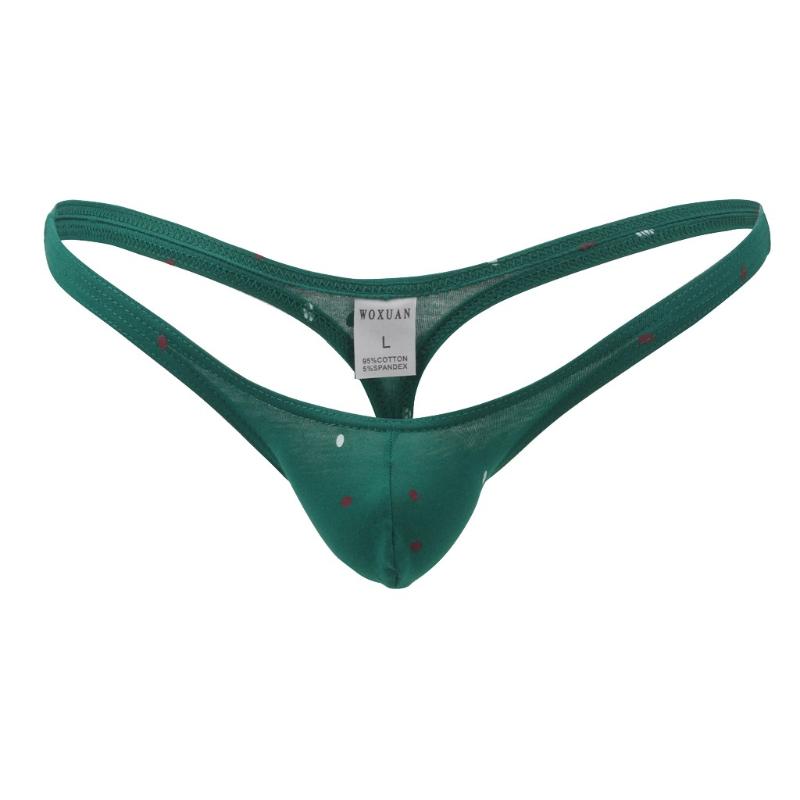Ice Silk Sexy Gay Underpants Men Ultra-Thin Soft Low Waist Briefs majtki damskie Sexy g string sissy Underwear Men tanga hombre