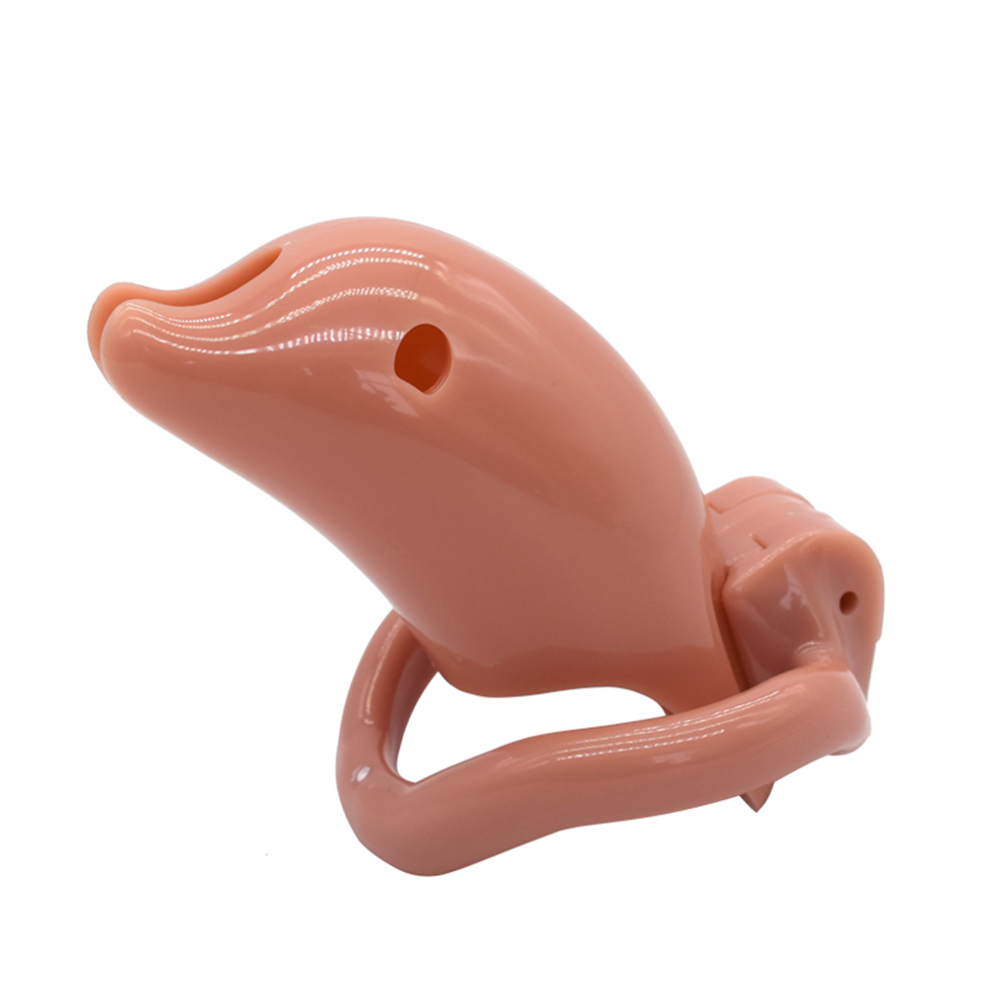 Arrival Dolphin Hea… - image