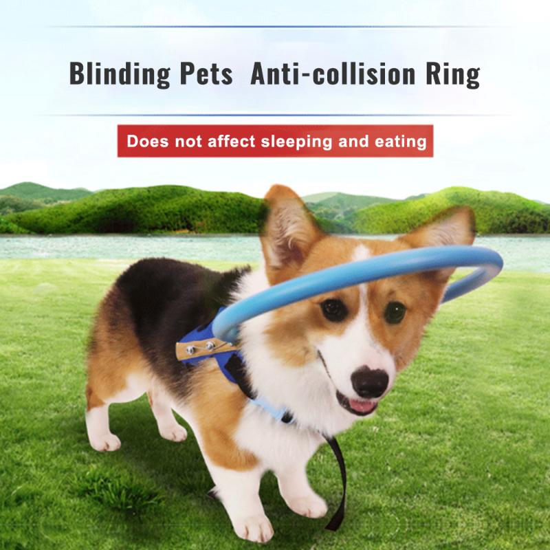 S/M Adjustable Pet Anti-collision Ring Blinding Pets Small Medium Dog Protection Circle Puppy Guiding
S/M Adjustable Pet Anti-collision Ring Blinding Pets Small Medium Dog Protection Circle Puppy Guiding
