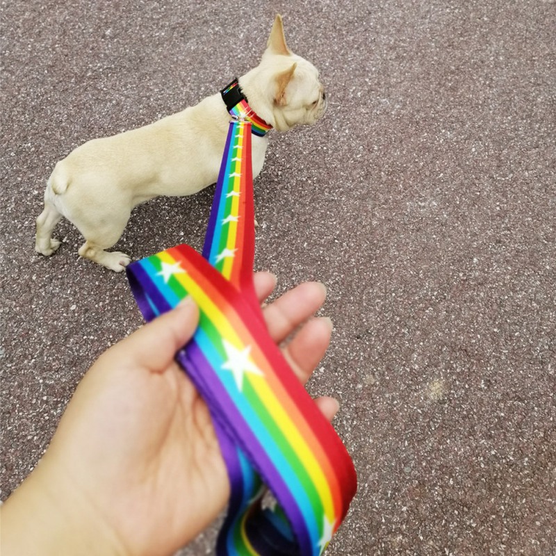 Safety Casual Dog Collar Pet Neck Strap Colorful Adjustable Collar With Seatbelt Buckle And Leash Ring And Durable Leash
Safety Casual Dog Collar Pet Neck Strap Colorful Adjustable Collar With Seatbelt Buckle And Leash Ring And Durable Leash