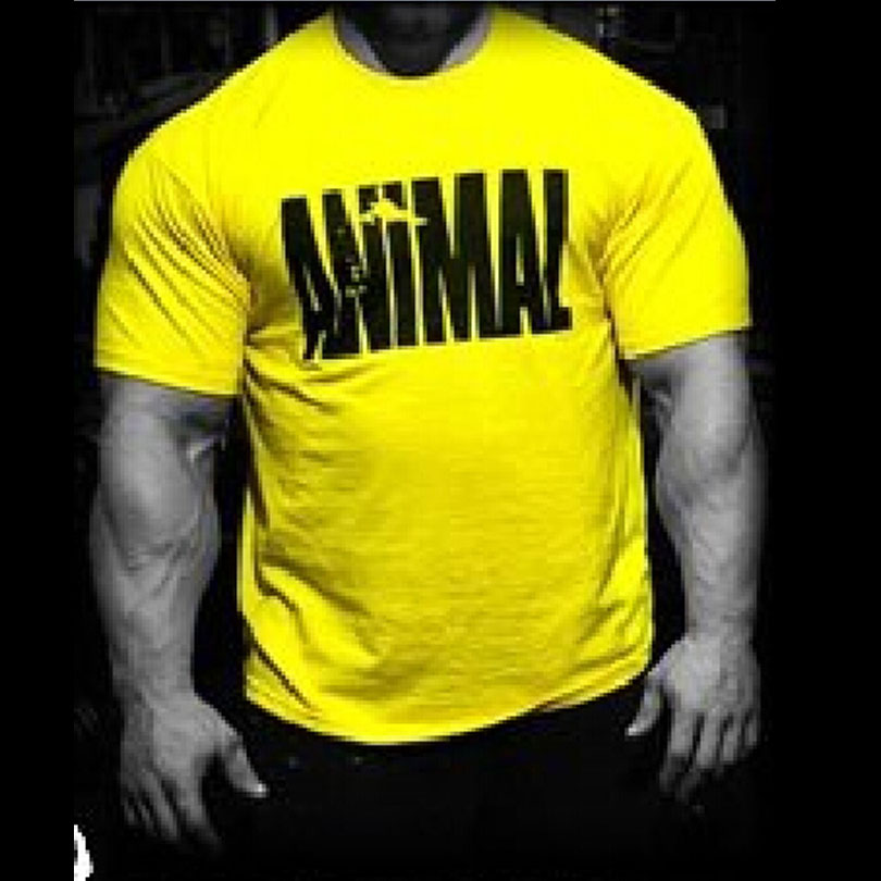 Blackday Animal print tracksuit t shirt muscle shirt Trends in 2016 fitness cotton brand clothes for men bodybuilding Tee large XXL, Green
Blackday Animal print tracksuit t shirt muscle shirt Trends in 2016 fitness cotton brand clothes for men bodybuilding Tee large XXL, Green