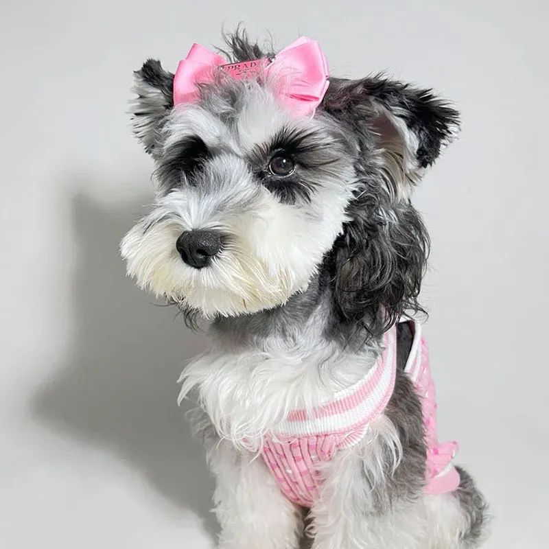 Designer Dog Clothes Brands Dog Apparel Dogs Sweater Classic Letters Pattern Stretch Comfort Cotton Pet Sweatshirt Vest for Small Doggy Pink - view 3