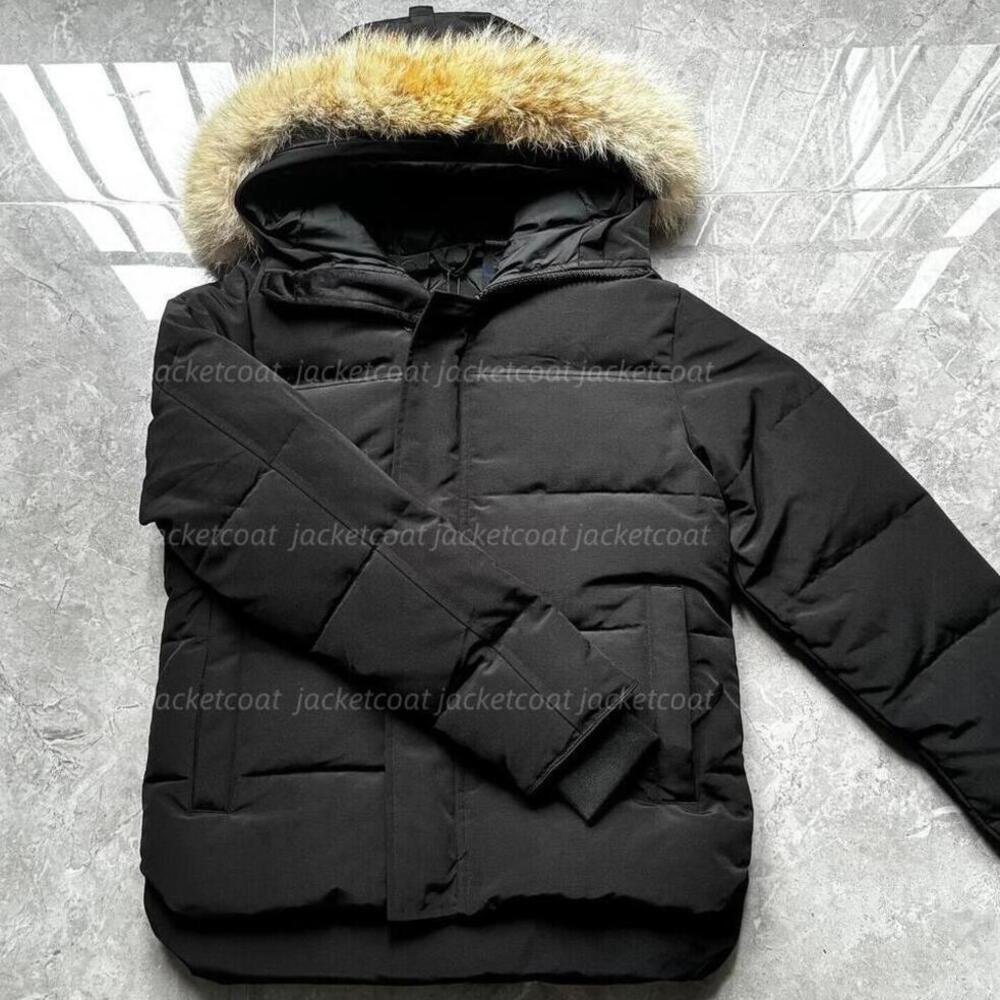 Piumini Gooce Firmati Piumino Da Uomo Distintivo Doudoune Moda Canada Giacca Tendenza Parka Con Cappuccio Spesso Calore Piuma Calda Giacca Cappotto-image