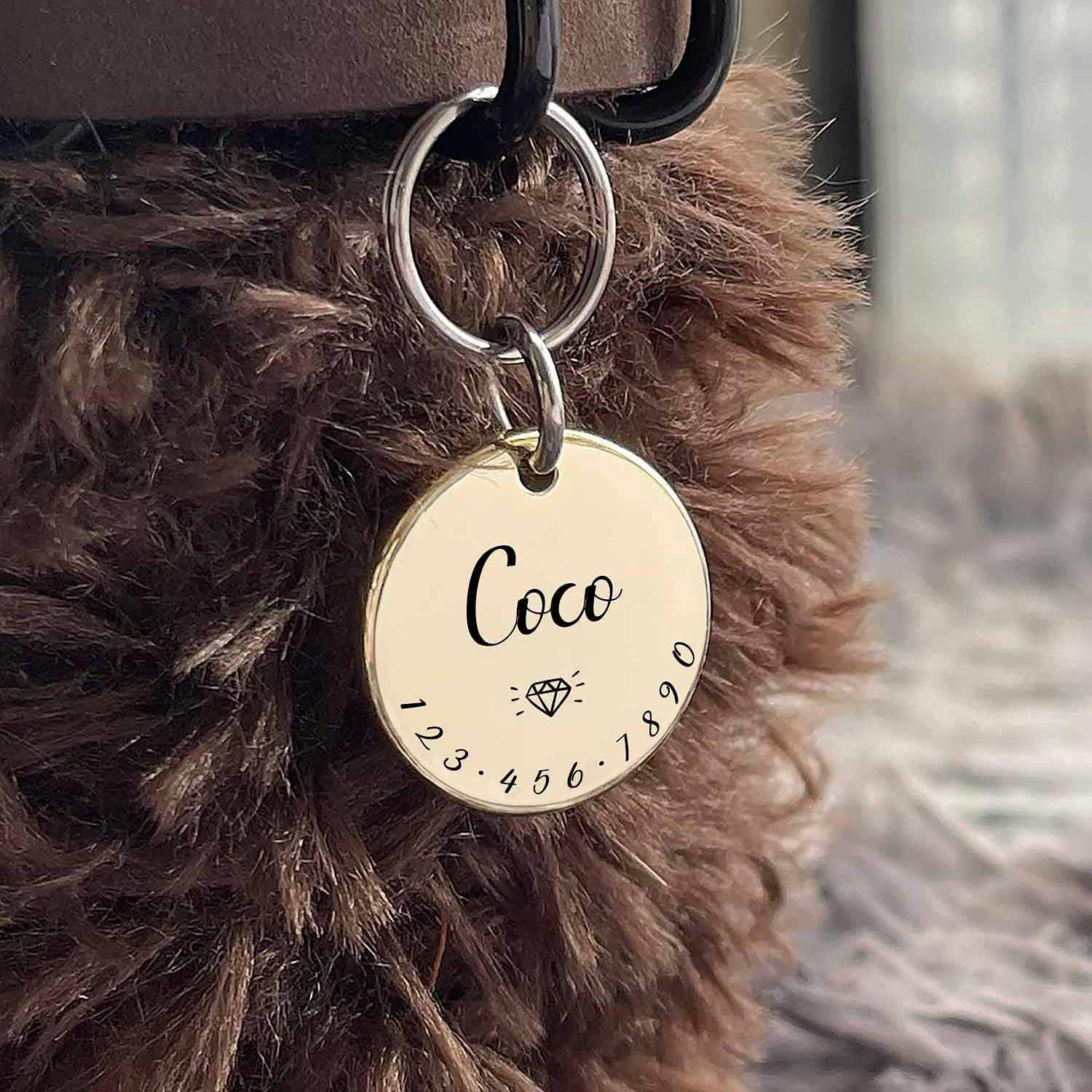 Personalized Pet ID Tag Collar - Custom Engraved Name Necklace Charm for Cats & Dogs (MW001)
