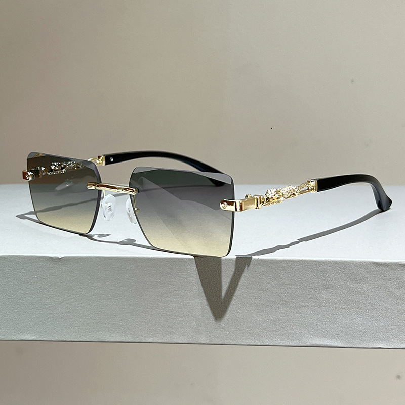 High-End Designer Sunglasses 2026 New Model Leopard-Decorated Frameless Square Sunglasses For Men, Fashionable European And American Sun Protection Ey - view 5