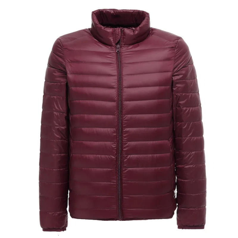 Men's Lightweight Water-Resistant Packable Puffer Jacket Arrivals Autumn Winter Male Fashion Stand Collar Down Coats 260923 - view 4