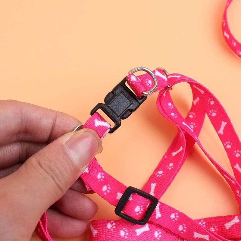 Small Dog Harness Leash for Chihuahua Teddy Puppies Adjustable Reflective Running Walking Pet Collar