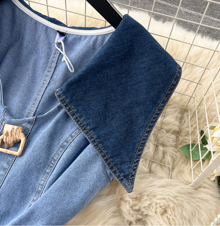 Casual Dresses Designer Denim Dress Women Long Single Breasted Big Turn-down Collar Waist Slimming Temperament Split A-Line Vestidos