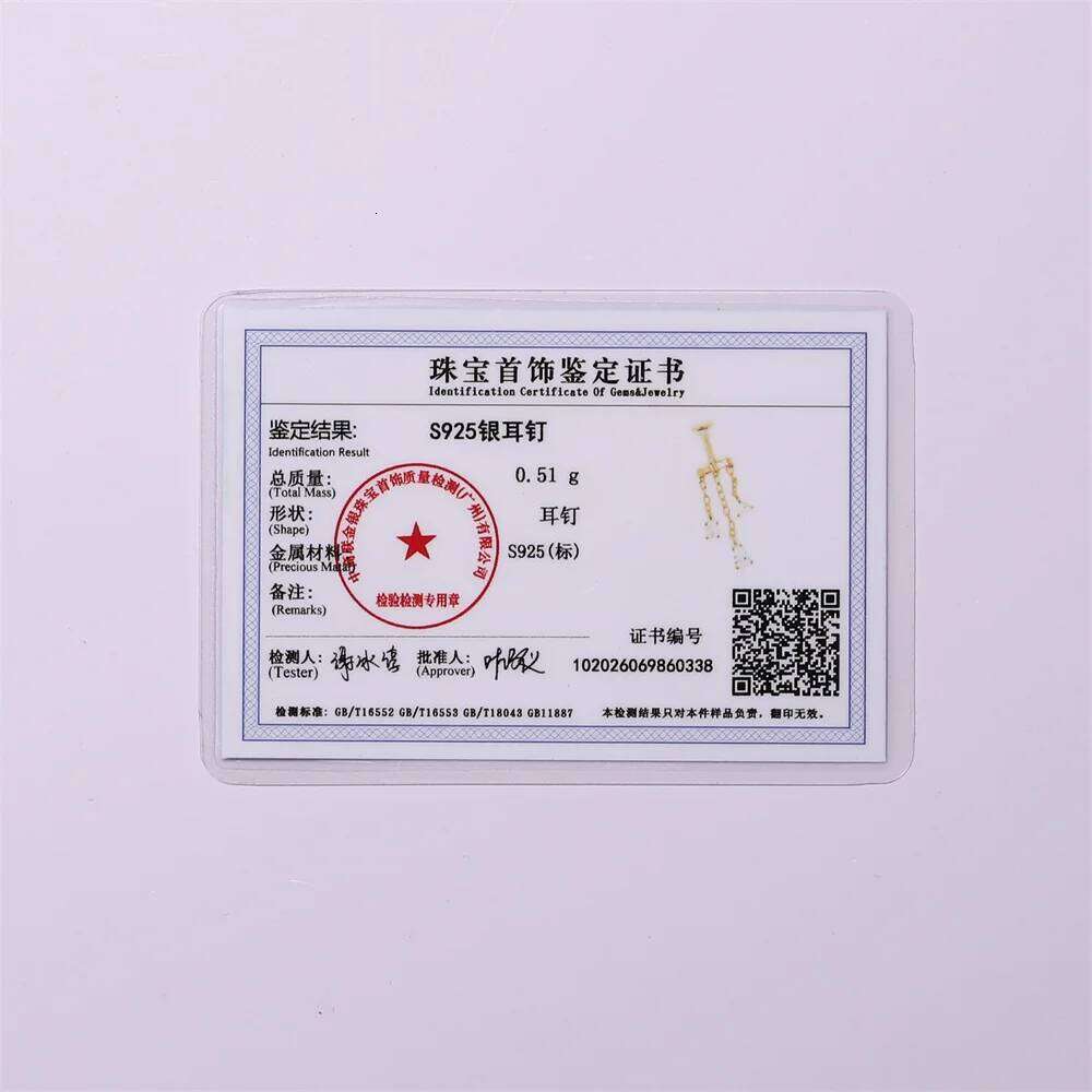 Aide S925 Sterling Silver Tassel Threaded Piercing Stylish Zircon Dangle Cartilage Ear Studs Earrings Jewelry for Women