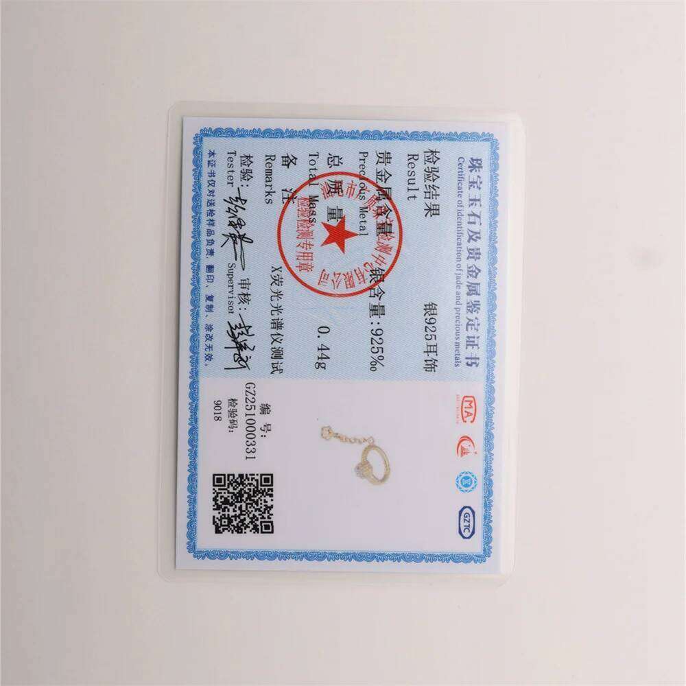 Aide 1pc 925 Sterling Silver Tassel Chain Hoop for Women Simple Exquisite Zircon Ear Earrings Fashion Jewelry Aretes