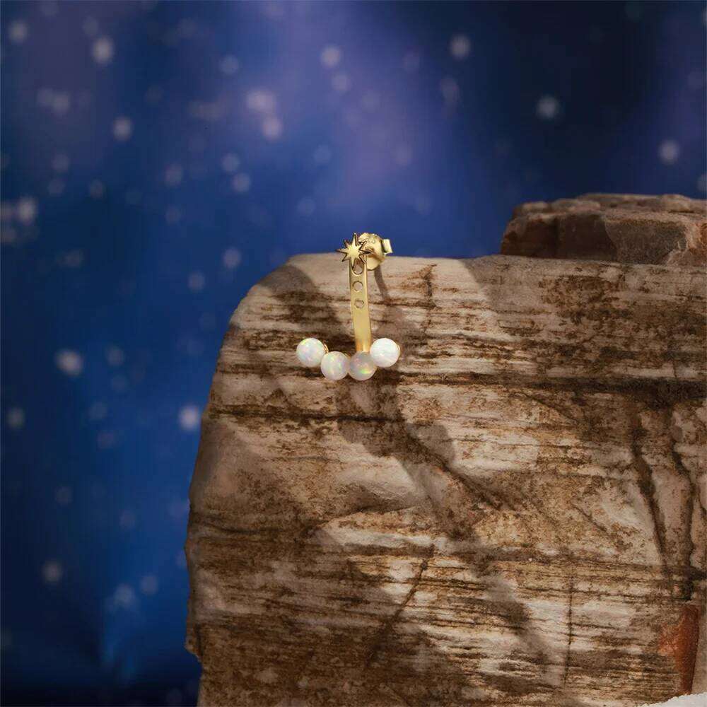 Aide 925 Sterling Silver Trendy Korean Cute Rotating Windmill Earrings For Women Charm Romantic Zirconia Geometric Studs Jewelry