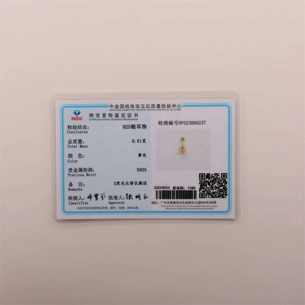 Aide 925 Sterling Silver Light Luxury Piercing Stud for Women Helix Ear Lobe Earring Hip-pop Party Single 1PC Jewelry