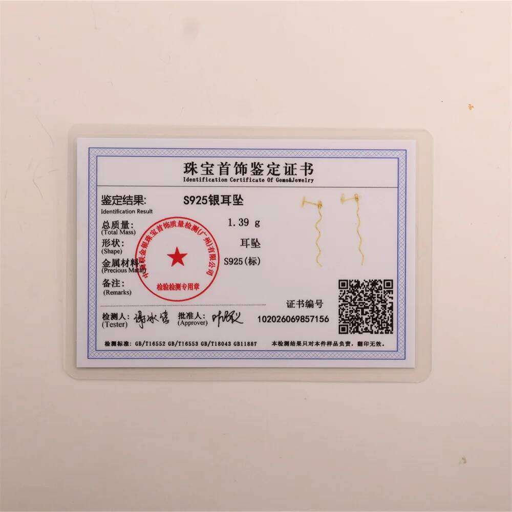 Aide 925 Sterling Silver S-type Ear Wire 18k Gold Color Earrings New Light Luxury Drangles Earring for Women Pendientes