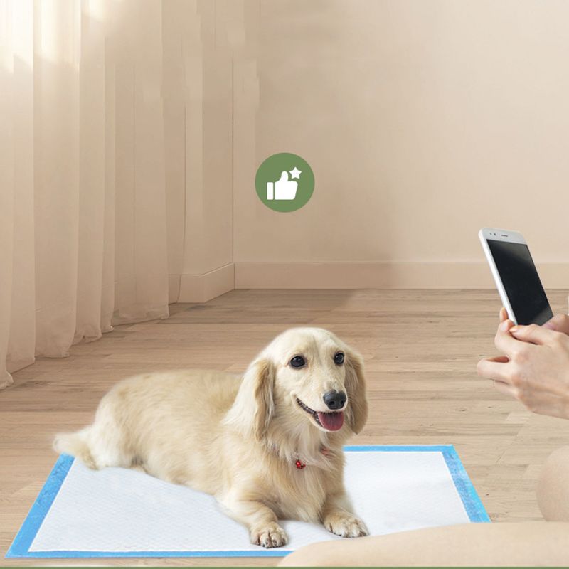 50pcs/pack Disposable Super Absorbent Leak-Proof Pet Diaper Dog Pee Pads Dogs Potty Pads Puppy Cats Nappy W0179