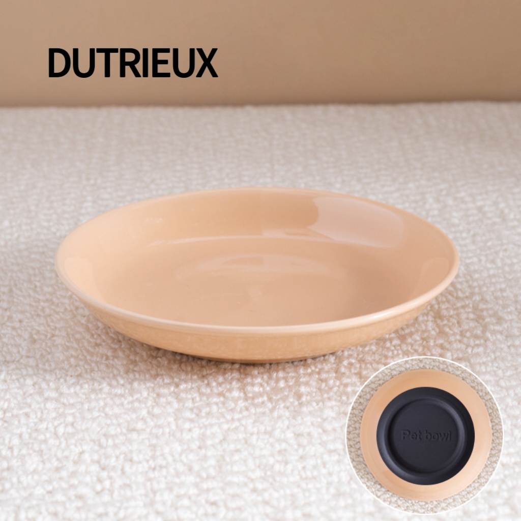 H2101 Cute Cat Paw Ceramic Food Bowl - Non-Slip Silicone Mat Fishbone Design