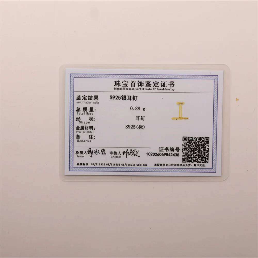 Aide 1PC Nature Style Threaded Puncture Ear Bone Nail 925 Sterling Silver Tassel Geometric Zircon Piercing Earring Studs Jewelry