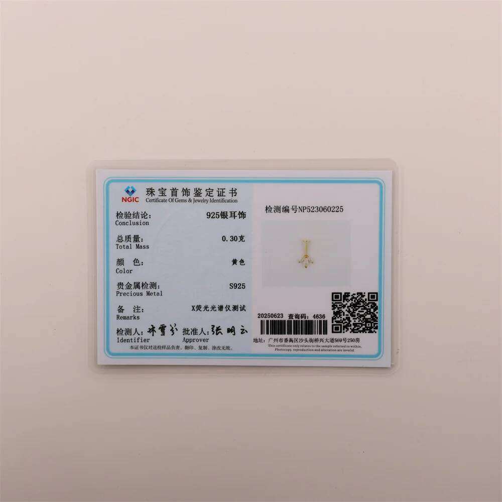 Aide 1piece Real 925 Sterling Silver Back Stud Earrings for Women Flat Head Cartilage Helix Piercing Ear Bone Fine Jewelry