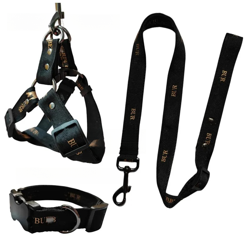 2026 New Designer Dog Collars Leash Set No-Pull Adjustable Nylon Webbing Pet Harness With Gold Lettering Pattern For Small Medium Large Dogs Easy Walking