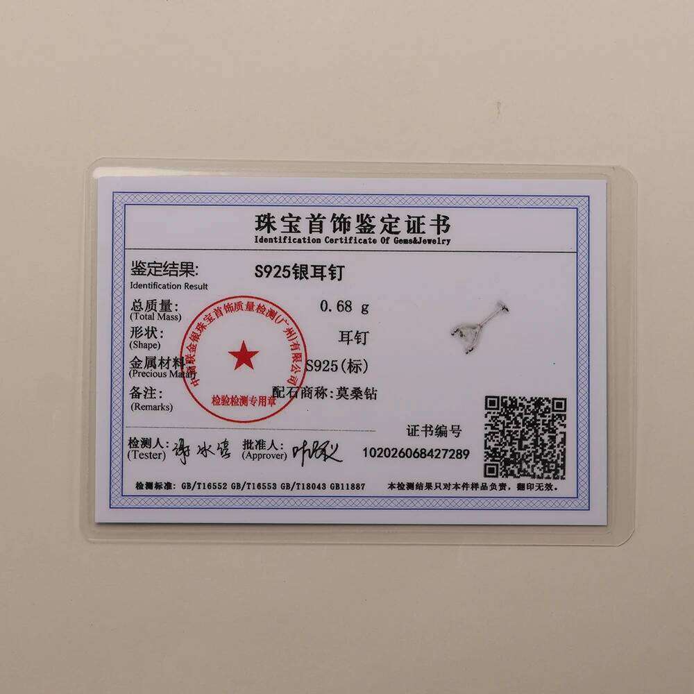 Aide 2/3/4/5/6/6.5/7mm D Color Moissanite Flat Screw Earrings for Women Men 925 Silver Four Clawed Diamond Piercing Stud