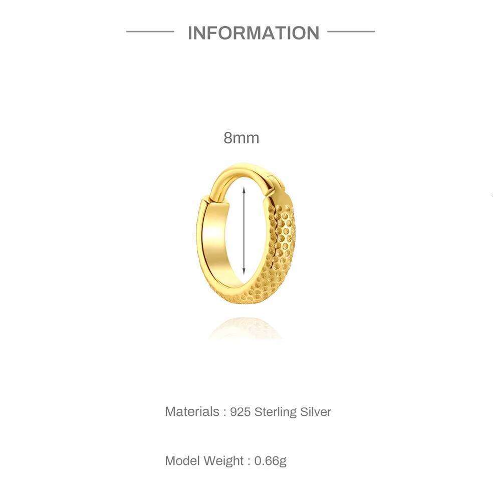 Aide 925 Sterling Silver Simple Gold Zircon CZ 6mm 8mm 10mm Hoops Piercing Pendiente Huggies Ear Buckle Fine Jewelry