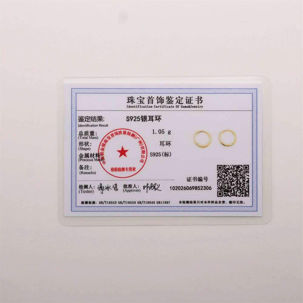 Aide 925 Sterling Silver 9mm Hoop for Women Fine Zircon Star Round Circle Earrings Fashion Party Jewelry Accessories