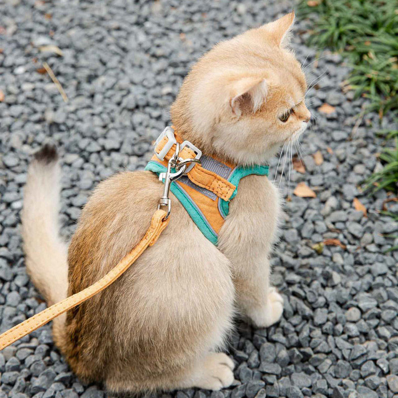 Cat traction rope cute vest style chest and back anti slip kitten Velcro safety buckle reflective pet walking rope