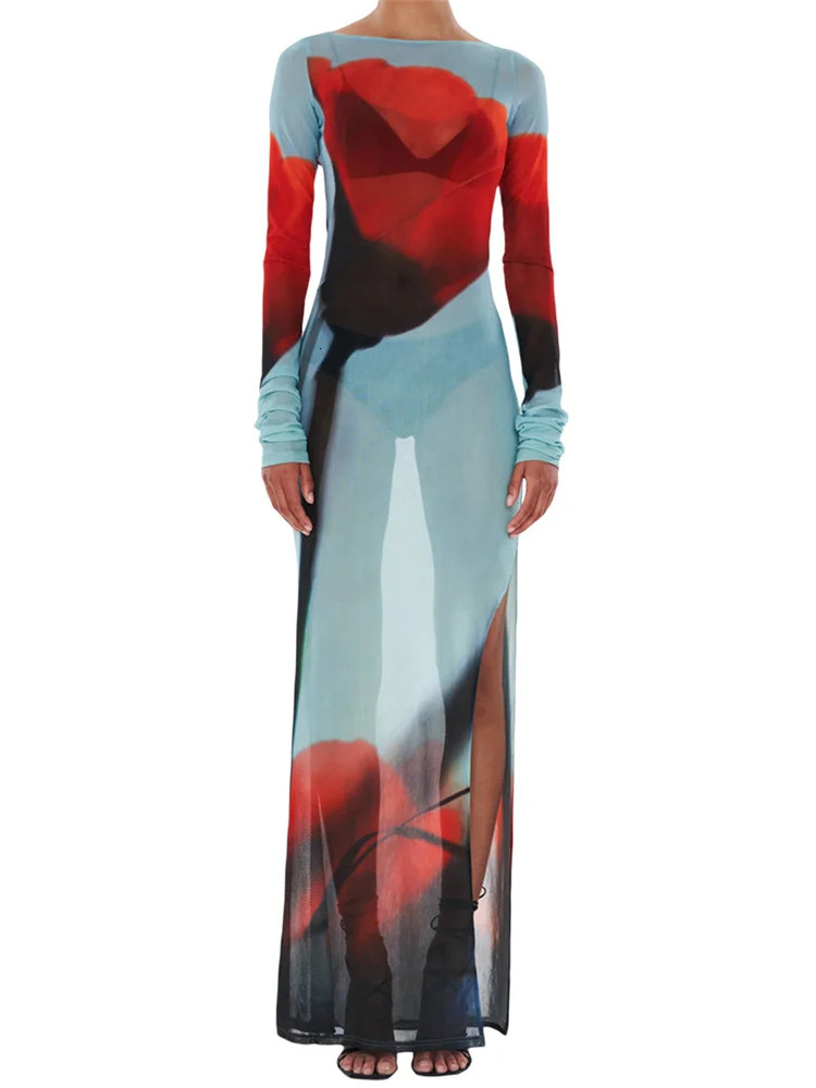 Womens Sheer Mesh Flower Long Dress Sleeve Boat Neck Boydcon Split Midi Summer Fall Coverup for Beach Club 251231