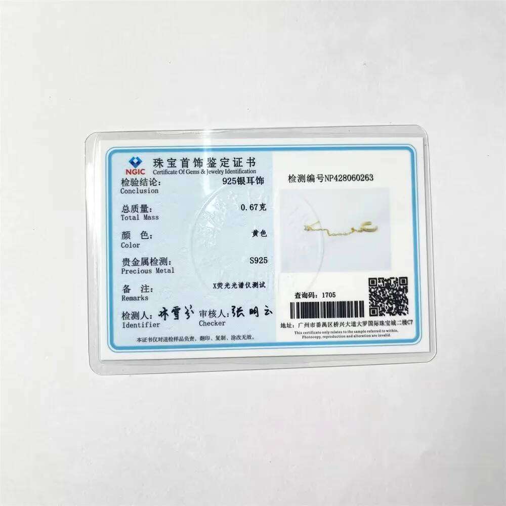 Aide 925 Sterling Silver Double Chain Ear Studs Micro Crystal Huggie Earrings Party DIY Jewelry Piercing Creative Earlobe Hoops