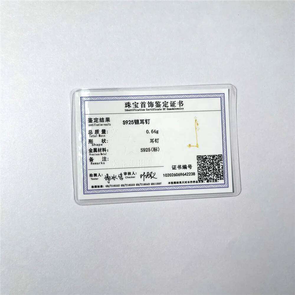 Aide 925 Sterling Silver 1pc Flower Tassel Chain Shiny Zirconia Stud Earrings For Women Hypoallergic Fine Jewelry Pendientes