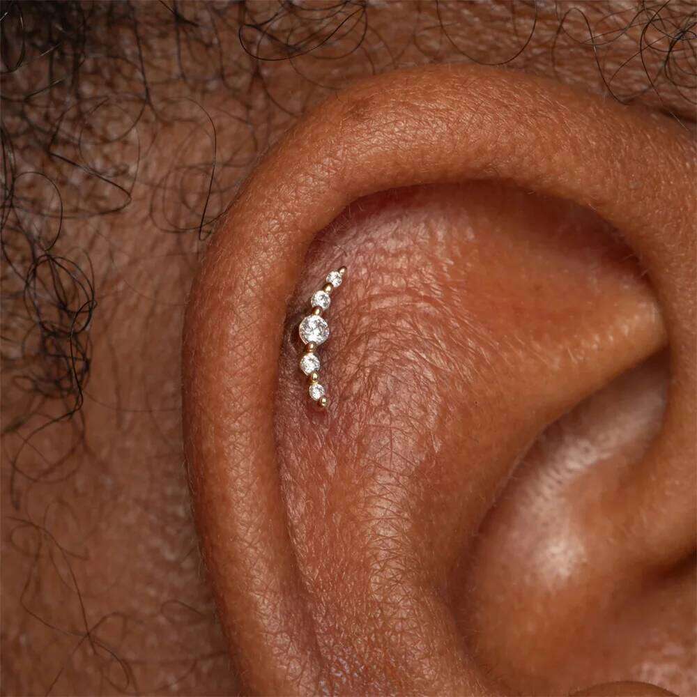 Aide 1PC Flower Tassel Crown Leaf Flat Head Piercing 925 Sterling Silver For Women Ins Minimalism Earring Pendientes