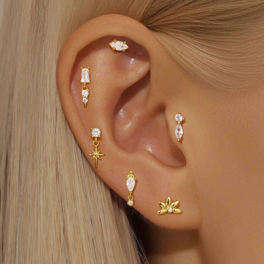 Aide 1PC 925 Sterling Silver Star Horse Eye Zircon Heart Flat Head Cartilage Piercing Earring For Women Ball Ear Bone punctures