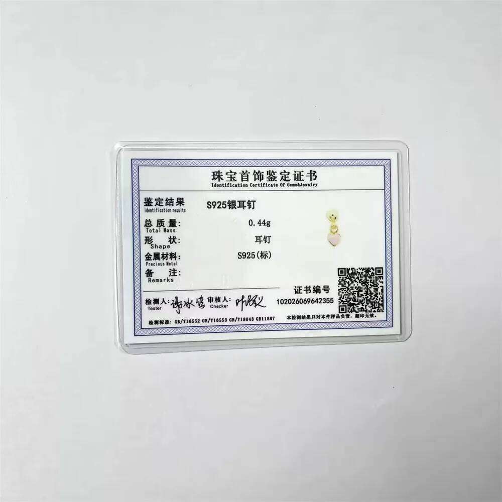 Aide 1pc 925 Sterling Silver Mini Zircon Thick Flat Screw Back Drop For Women K Gold Piercing Stud Earrings Jewelry