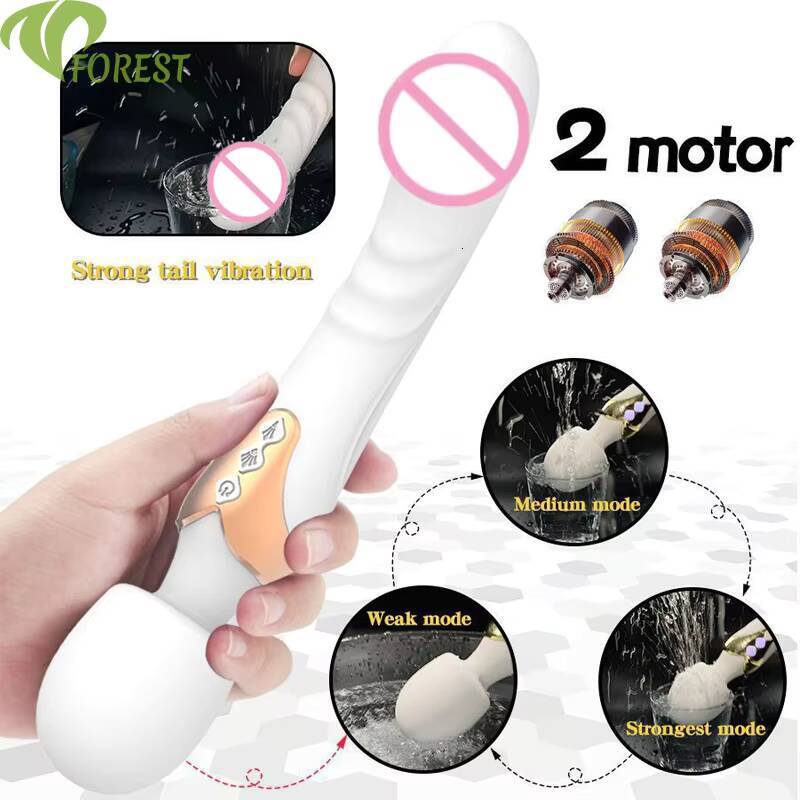Custom Dual Motor 10 Speed Vibrator Waterproof USB Rechargeable Low Noise for Female Masturbation Clitoral Stimulation