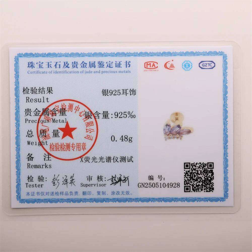 Aide 925 Sterling Silver Raw Stone Earrings Amethysts Apatite Lapis Quartz Stones Earring for Women Luxury Quality Jewelry Girls