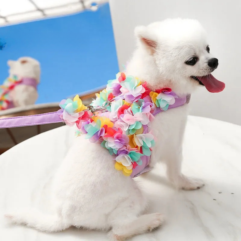 2026 New Adjustable Cat Walking Rope With Anti-Breakout I-Shaped Chest Strap - Flower Design Free Shipping