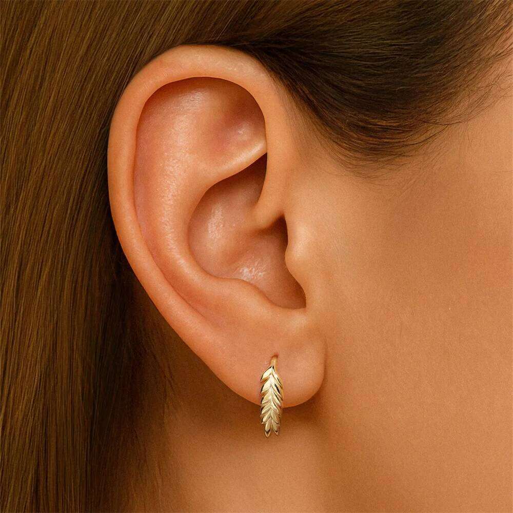 Aide 925 Sterling Silver Ear Fishtail Hook for Women Wheatear Rose Zircon Climbing Earrings Fashion Jewelry Gifts 1pair