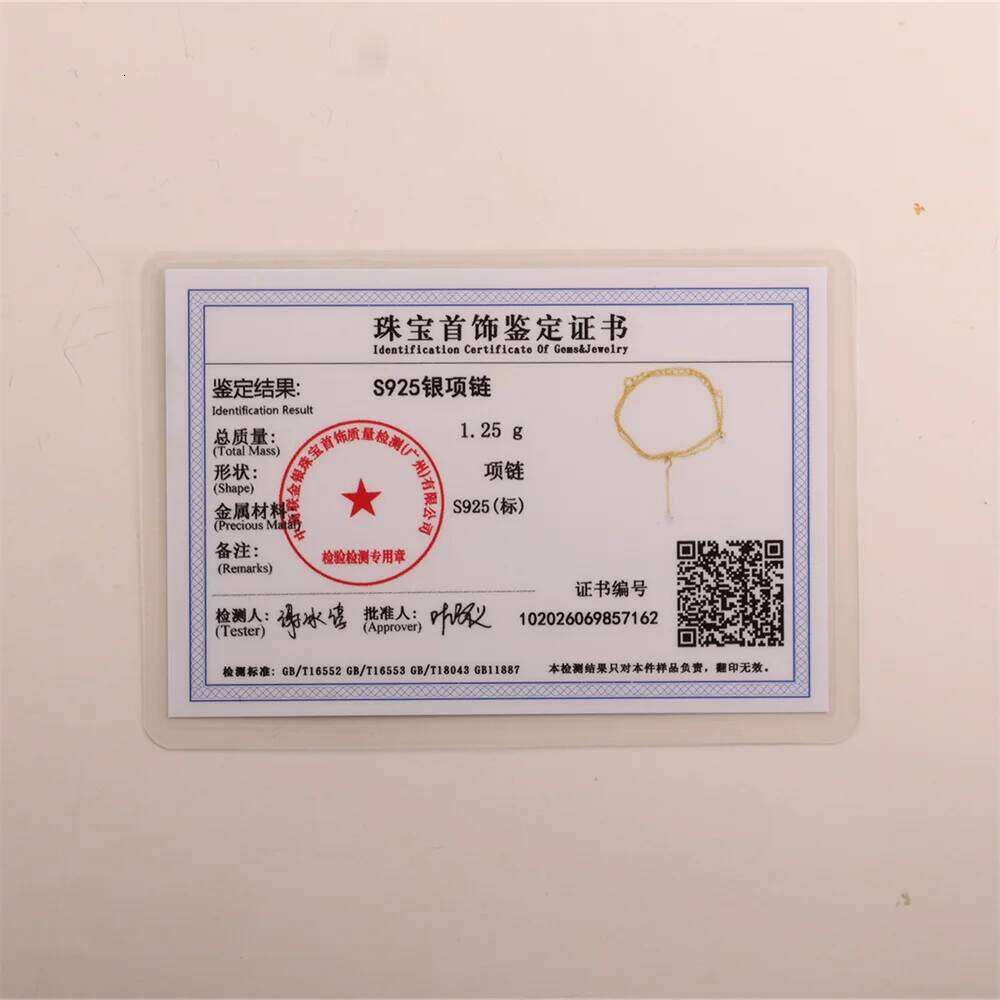 Aide 925 Sterling Silver Gold Color Zircon Pendant Necklaces for Women Long Tassel Design Clavicle Chains Necklace Collares