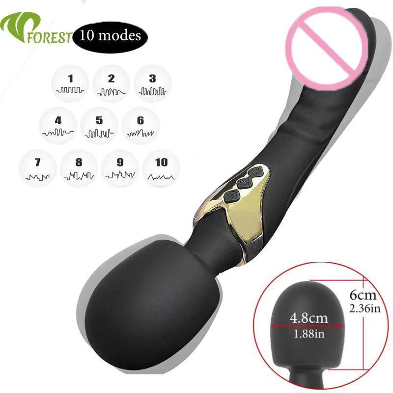Custom Dual Motor 10 Speed Vibrator Waterproof USB Rechargeable Low Noise for Female Masturbation Clitoral Stimulation