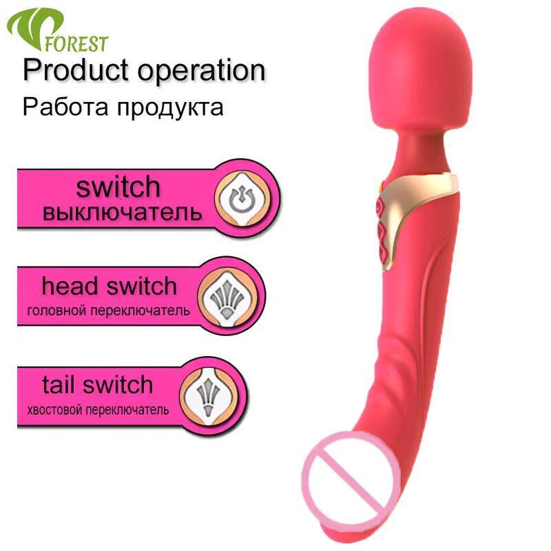 Custom Dual Motor 10 Speed Vibrator Waterproof USB Rechargeable Low Noise for Female Masturbation Clitoral Stimulation