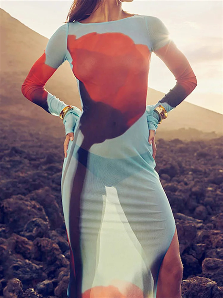 Womens Sheer Mesh Flower Long Dress Sleeve Boat Neck Boydcon Split Midi Summer Fall Coverup for Beach Club 251231