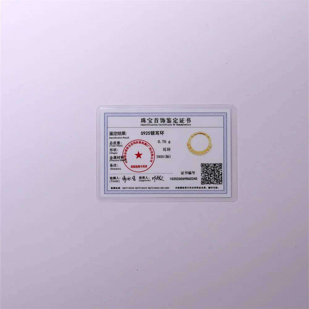 Aide 1 Piece S925 Sterling Silver Zircon Hoop Earrings Multi Size 6/8/10mm Crystal Cartilage Hoops for Women Fashion Jewelry