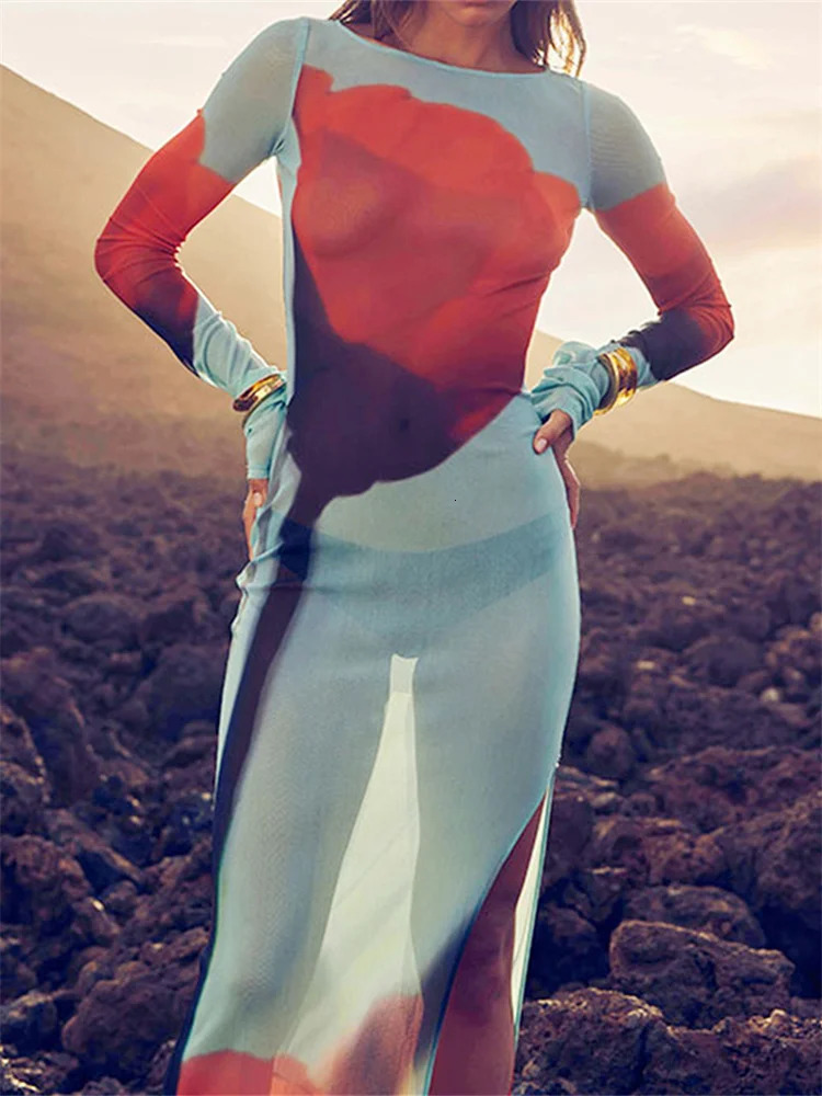 Womens Sheer Mesh Flower Long Dress Sleeve Boat Neck Boydcon Split Midi Summer Fall Coverup for Beach Club 251231