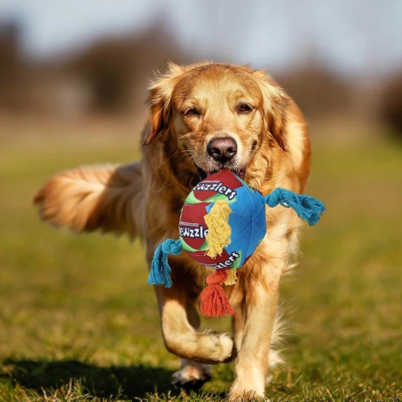 Rainbow Twist Candy Dog Chew Toy with Squeaker for Teeth Grinding Interactive Play Bite Resistant Pet Supplies 251225