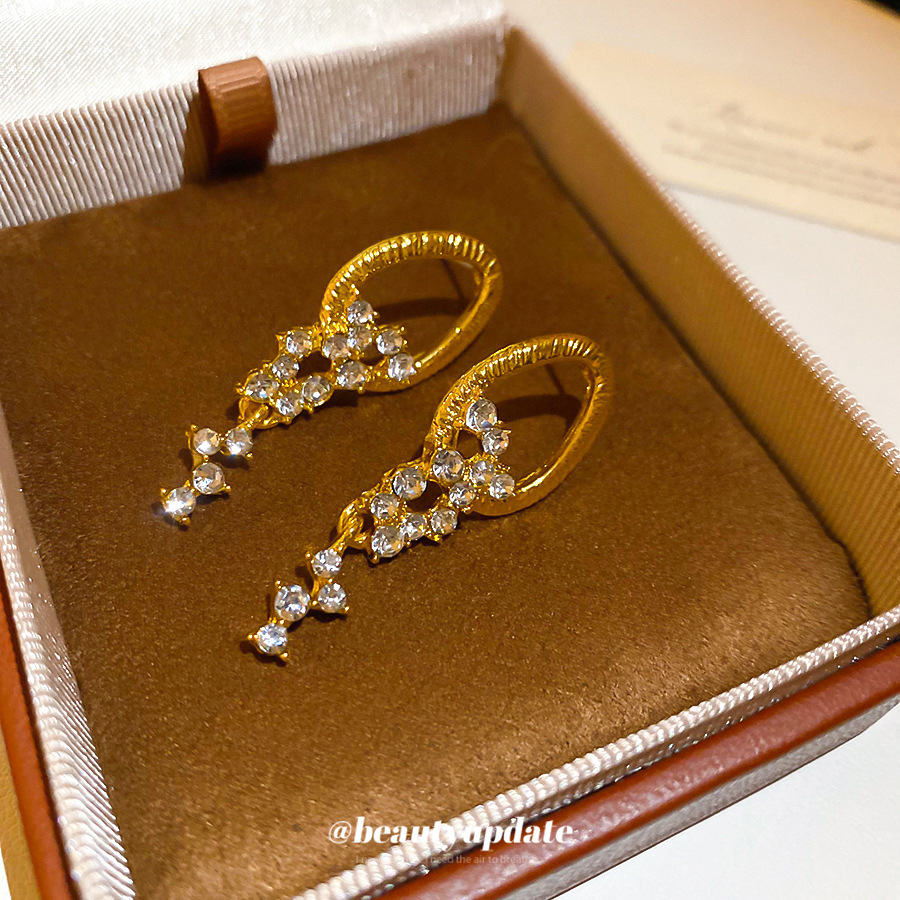 Silver needle diamond-encrusted round fringed earrings, French vintage style, elegant and versatile, light luxury and high-end feeling, women's e