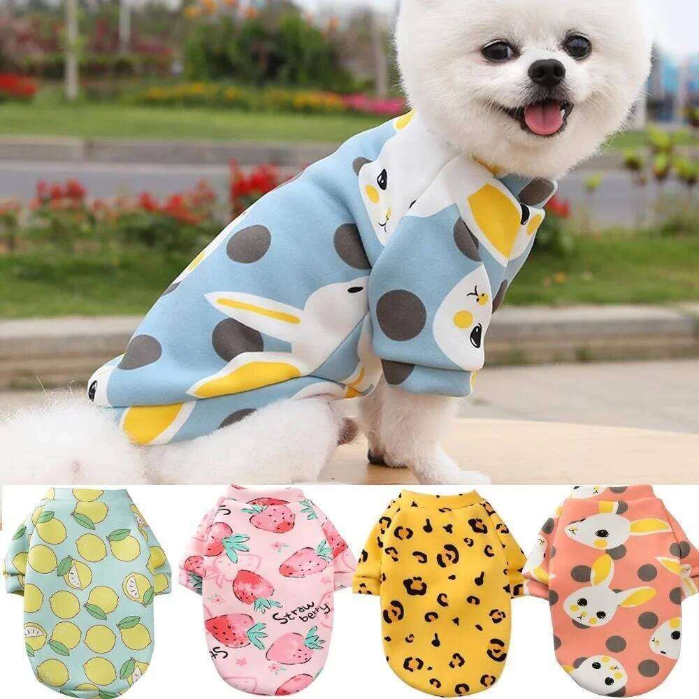 Chihuahua Sweatshirt Puppy Cat Pullover Dogs Small Dog Hoodie Coat Winter Warm Pet Clothes for Bulldog 26L0104