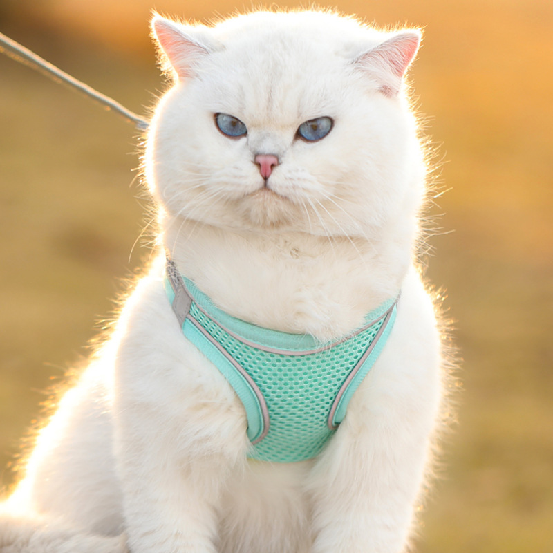 Cat leash anti slip vest style breathable reflective pet chest harness small dog walking cat leash pet supplies