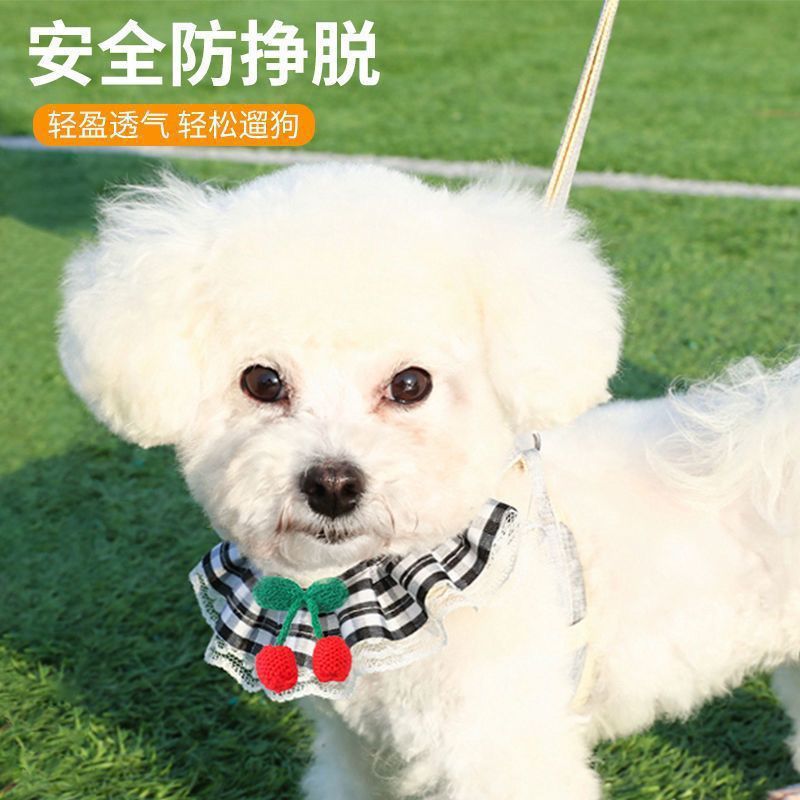 Pet Supplies: Dog, Cat, Traction Rope, Puppy Neck Hoop, Anti slip Dog Walking Rope, Small Dog, Cute Chest Strap