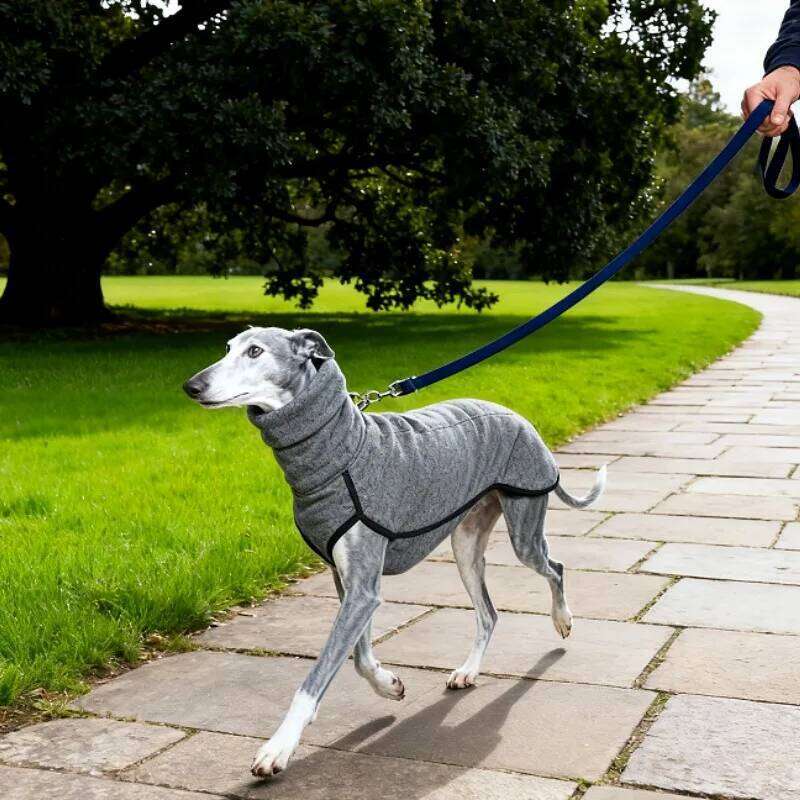 Warm Whippet Vest Italian Greyhoundes WinterTurtleneck Soft Fleece Clothes Coat Outfit for Medium Large Dog 26N0104