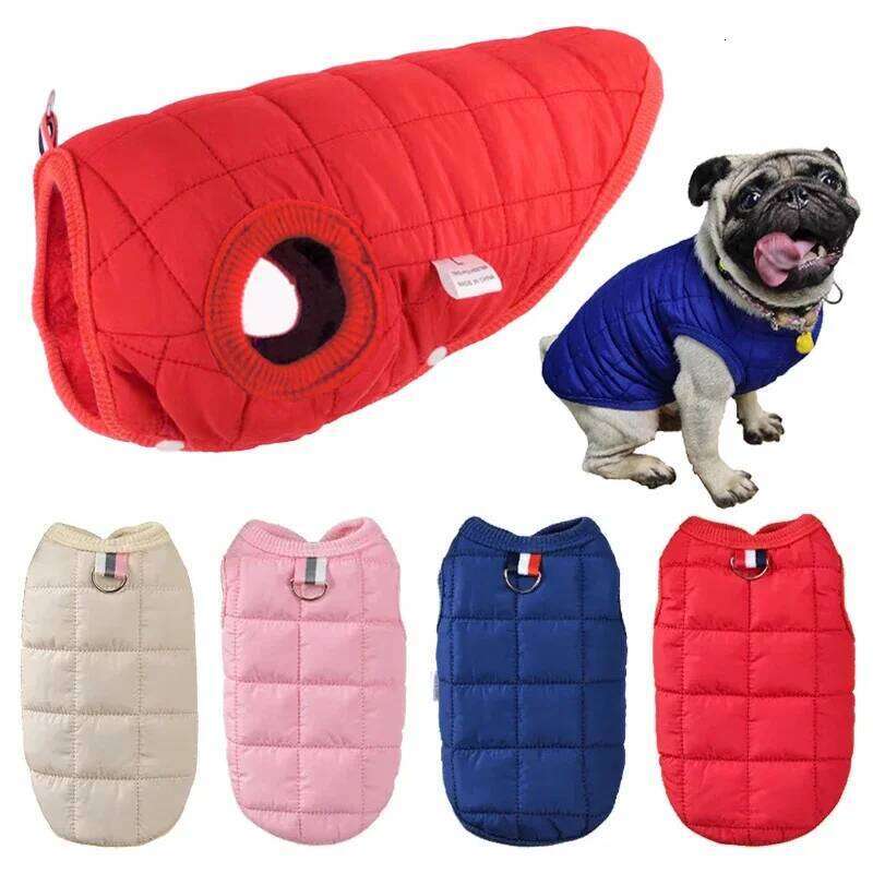 Winter Pet Cotton Warm Dog Clothes Puppy Coat For Small Medium Dogs Cats Outfit Chihuahua French Bulldog Maltese Clothing 26N0104