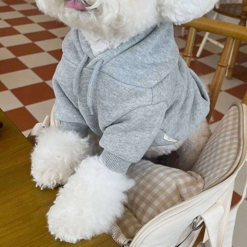 Winter Hoodie Pet Dogs Fashion Plush Dog Clothes Costume Small French Bulldog Puppy Clothing Spring Autumn Boy Mascotas 26L0104